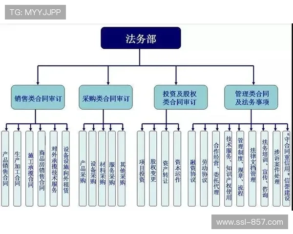 拳击经纪人资格考试制度修订，加强合同合规性管理