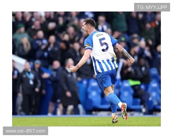 布莱顿迎战埃弗顿，技术流与防守反击的战术碰撞