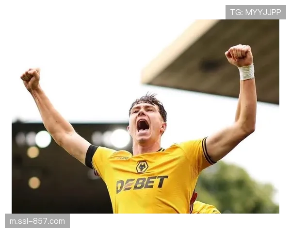 水晶宫4800万镑签狼队前锋拉尔森,打破队史引援纪录