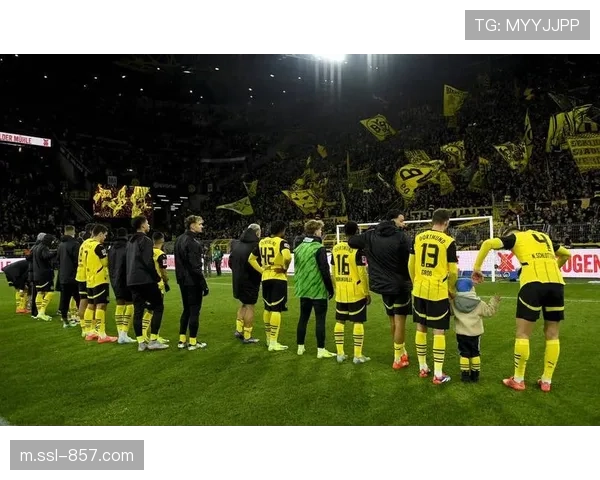 多特蒙德主场完胜，德甲球队欧冠表现回暖